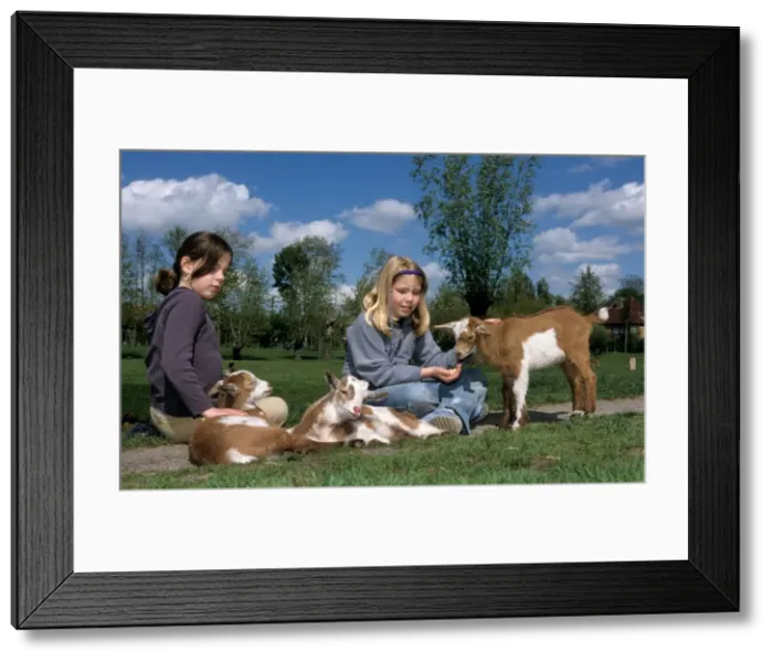 Framed Print : Picture No. 10752439 Framed Print : Picture No. 10752439
