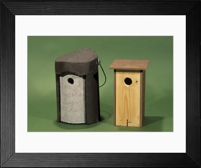 Framed Print : Picture No. 10752474 Framed Print : Picture No. 10752474