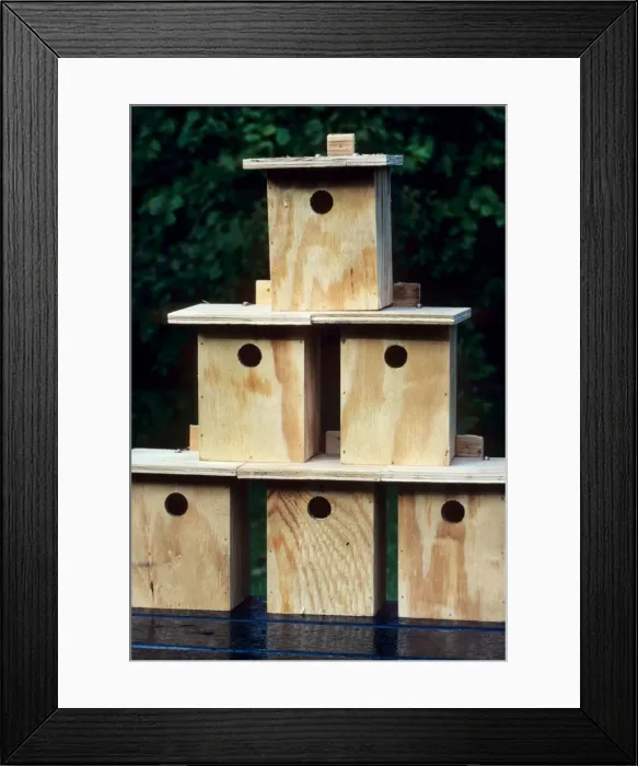Framed Print : Picture No. 10752475 Framed Print : Picture No. 10752475