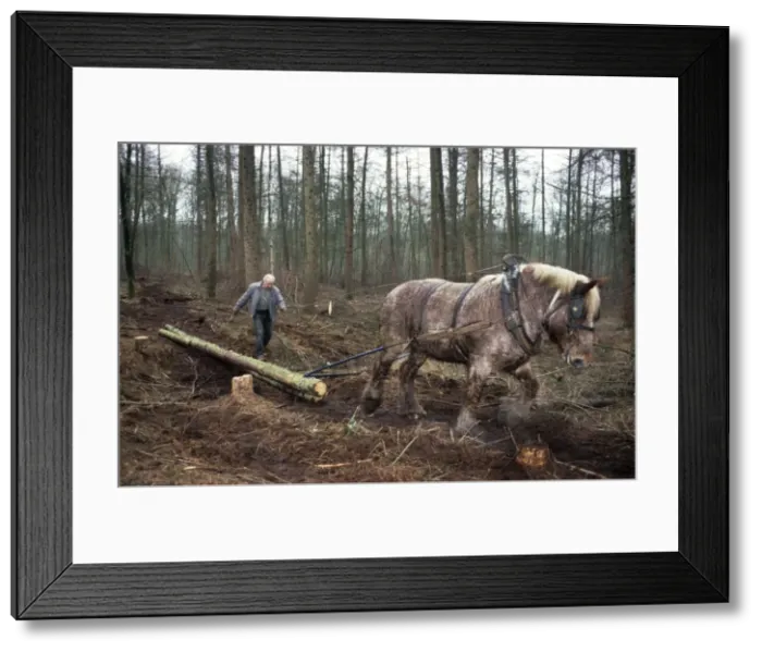 Framed Print : Picture No. 10752430 Framed Print : Picture No. 10752430