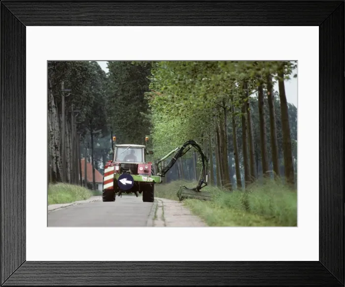 Framed Print : Picture No. 10752482 Framed Print : Picture No. 10752482