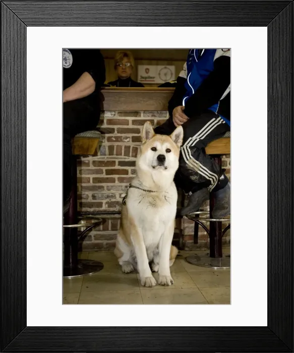Framed Print : Picture No. 10752565 Framed Print : Picture No. 10752565