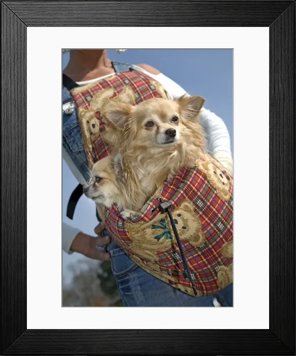 Framed Print : Picture No. 10752553 Framed Print : Picture No. 10752553