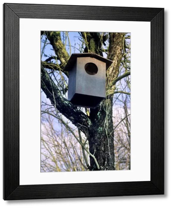 Framed Print : Picture No. 10752476 Framed Print : Picture No. 10752476