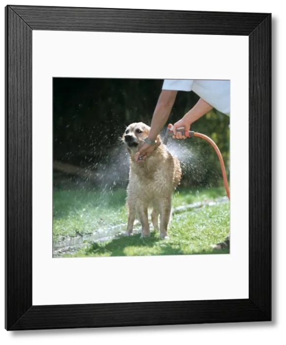 Framed Print : Picture No. 10752574 Framed Print : Picture No. 10752574