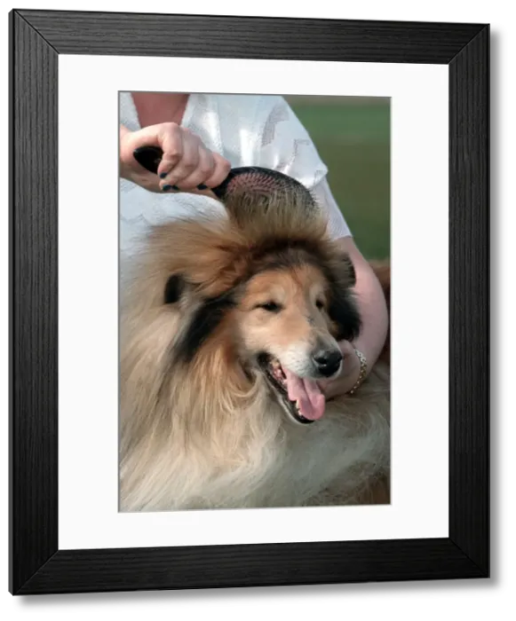 Framed Print : Picture No. 10752568 Framed Print : Picture No. 10752568