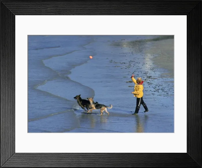 Framed Print : Picture No. 10752577 Framed Print : Picture No. 10752577