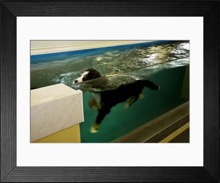 Framed Print : Picture No. 10752586 Framed Print : Picture No. 10752586