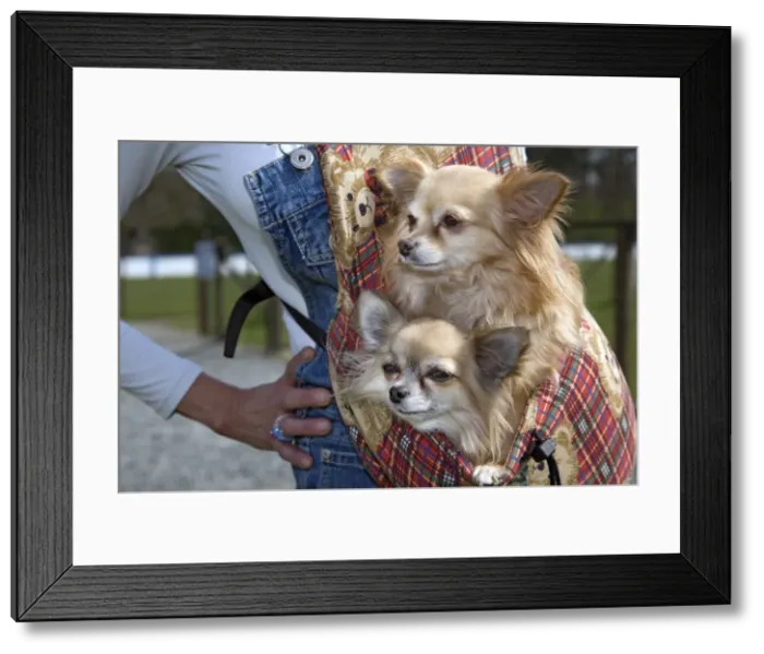 Framed Print : Picture No. 10752572