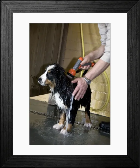 Framed Print : Picture No. 10752579