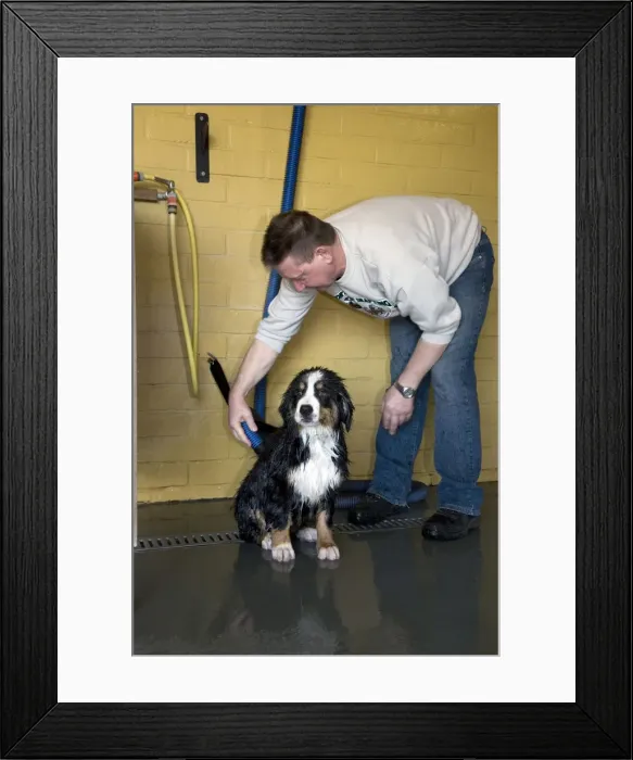 Framed Print : Picture No. 10752580 Framed Print : Picture No. 10752580