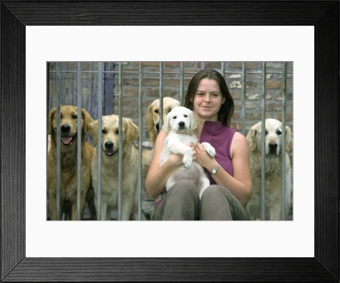Framed Print : Picture No. 10752588 Framed Print : Picture No. 10752588