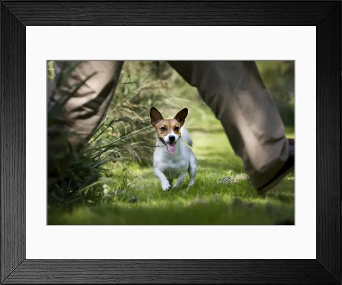 Framed Print : Picture No. 10752648 Framed Print : Picture No. 10752648