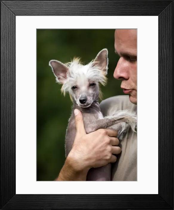 Framed Print : Picture No. 10752647 Framed Print : Picture No. 10752647