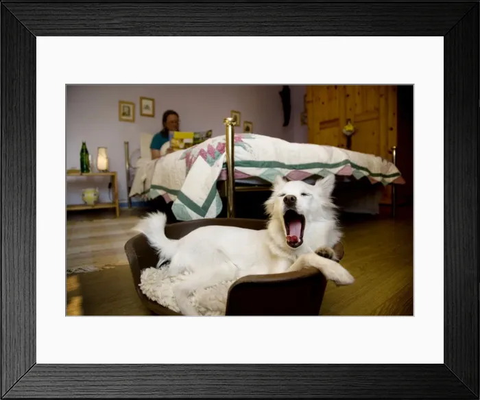 Framed Print : Picture No. 10752597 Framed Print : Picture No. 10752597