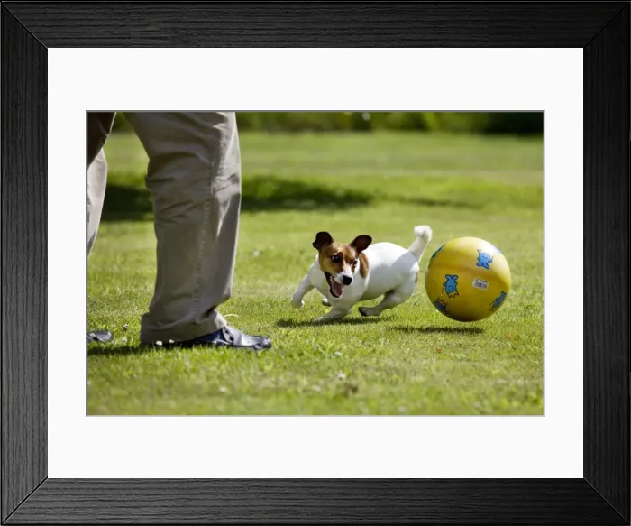 Framed Print : Picture No. 10752649