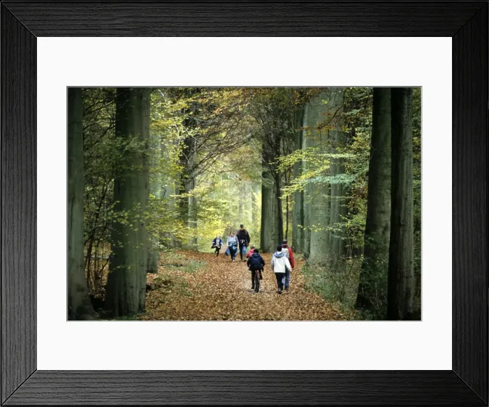 Framed Print : Picture No. 10752833 Framed Print : Picture No. 10752833