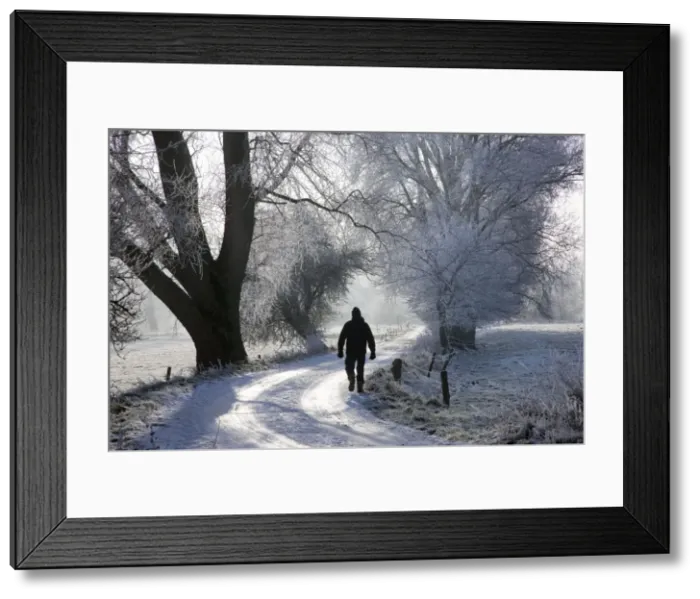 Framed Print : Picture No. 10752842 Framed Print : Picture No. 10752842