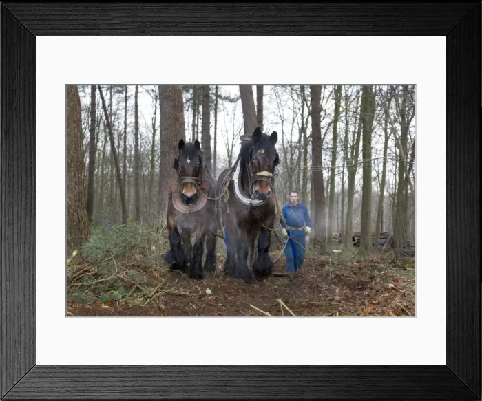 Framed Print : Picture No. 10752846 Framed Print : Picture No. 10752846