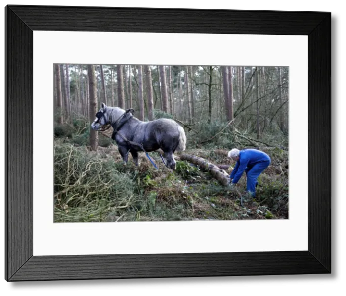 Framed Print : Picture No. 10752845 Framed Print : Picture No. 10752845