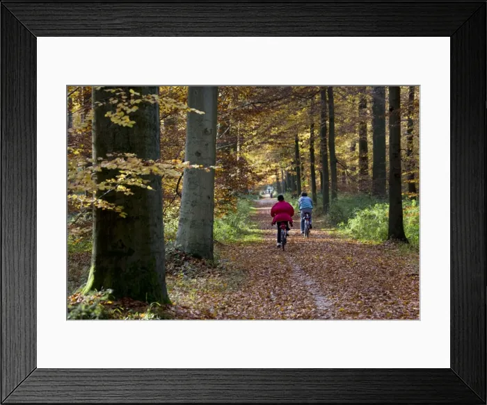 Framed Print : Picture No. 10752855 Framed Print : Picture No. 10752855