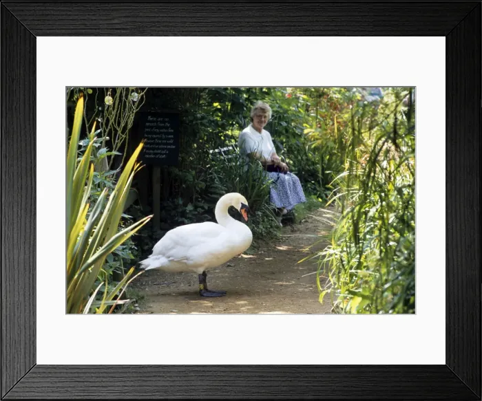 Framed Print : Picture No. 10752889 Framed Print : Picture No. 10752889