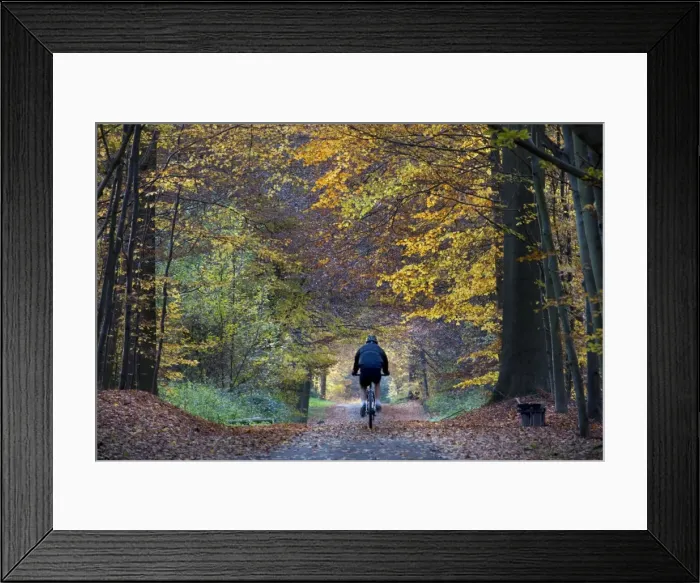 Framed Print : Picture No. 10752856 Framed Print : Picture No. 10752856