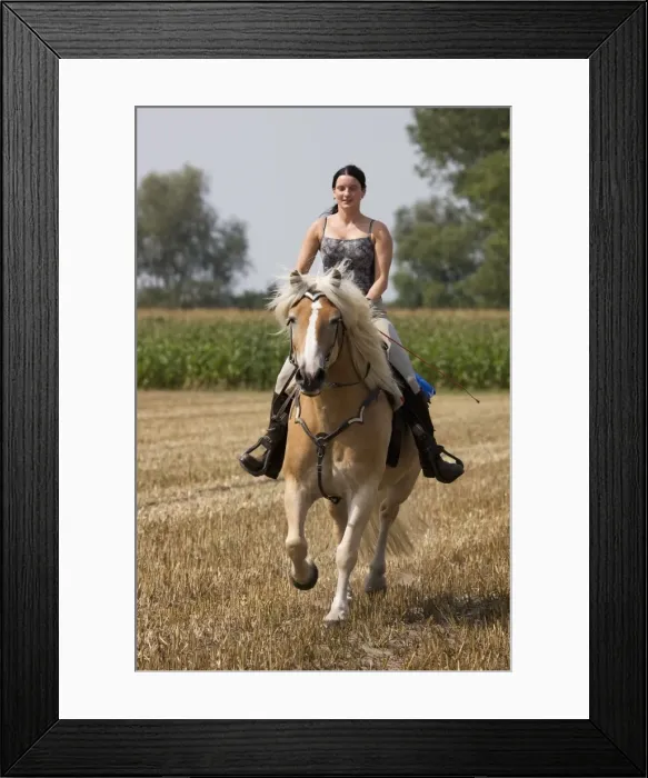 Framed Print : Picture No. 10752992 Framed Print : Picture No. 10752992