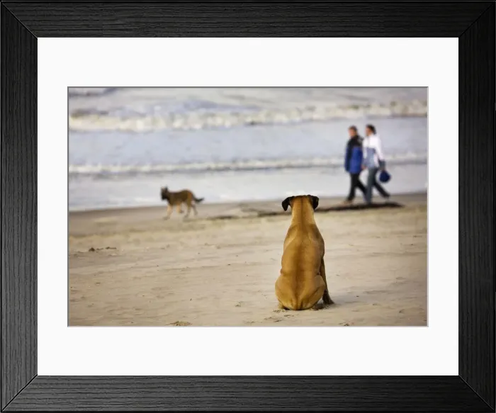 Framed Print : Picture No. 10752938 Framed Print : Picture No. 10752938