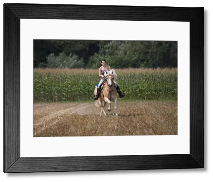 Framed Print : Picture No. 10752993 Framed Print : Picture No. 10752993