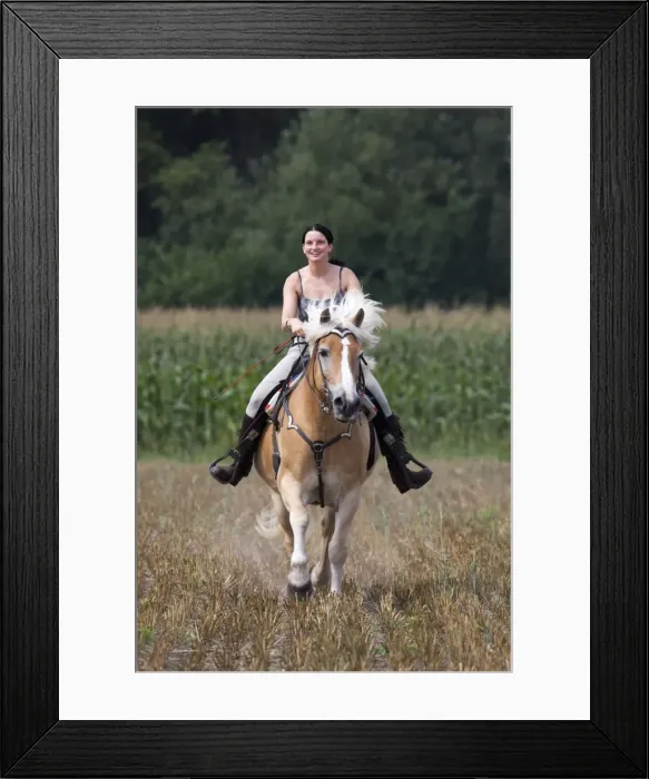Framed Print : Picture No. 10752994 Framed Print : Picture No. 10752994