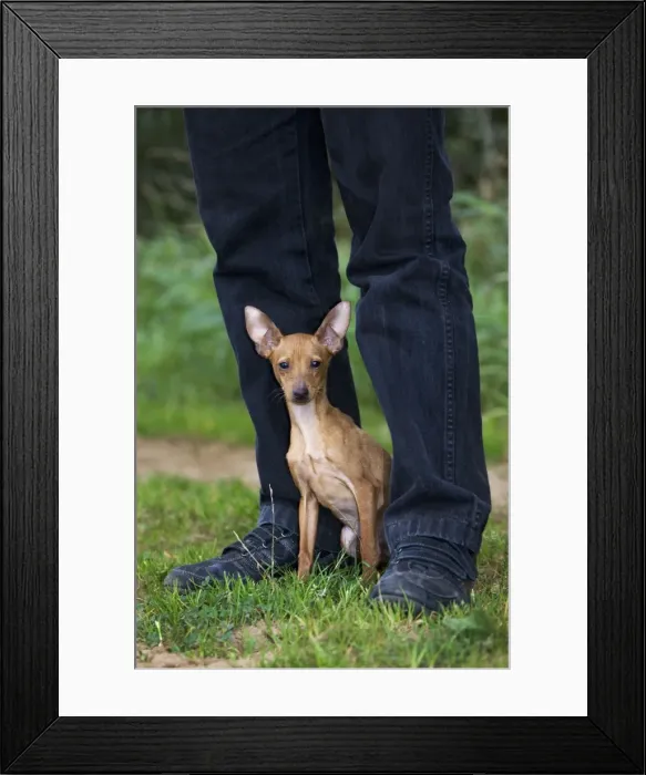 Framed Print : Picture No. 10753006 Framed Print : Picture No. 10753006