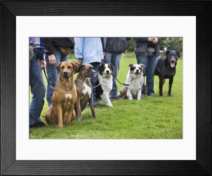 Framed Print : Picture No. 10752986 Framed Print : Picture No. 10752986
