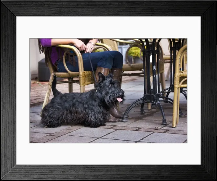 Framed Print : Picture No. 10753033 Framed Print : Picture No. 10753033
