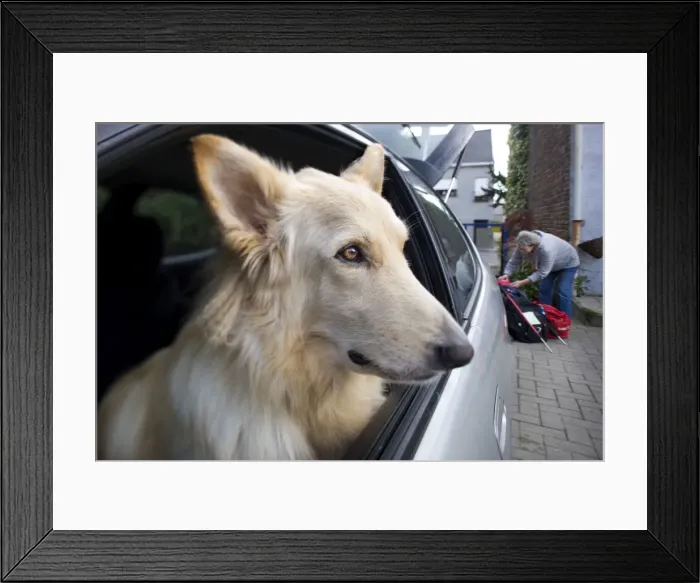Framed Print : Picture No. 10753105 Framed Print : Picture No. 10753105