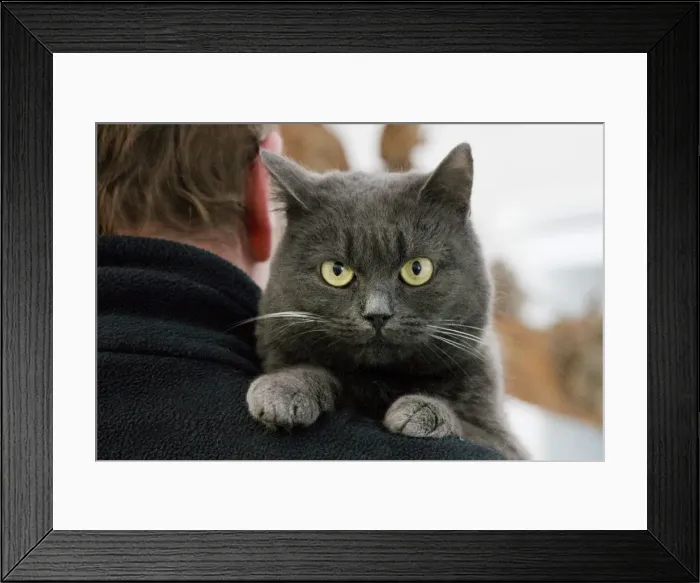 Framed Print : Picture No. 10753078 Framed Print : Picture No. 10753078