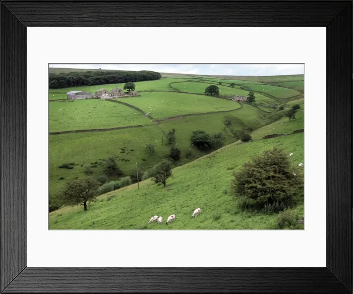 Framed Print : Picture No. 10753155 Framed Print : Picture No. 10753155