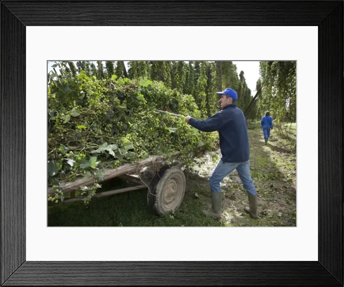 Framed Print : Picture No. 10753195