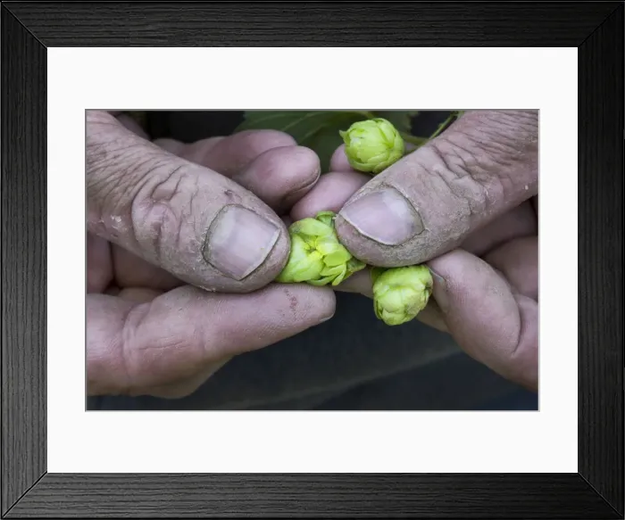 Framed Print : Picture No. 10753200 Framed Print : Picture No. 10753200