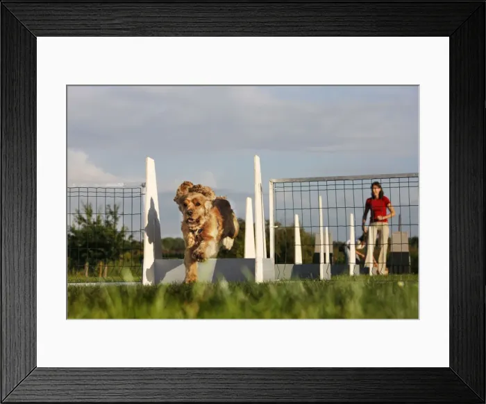 Framed Print : Picture No. 10753178