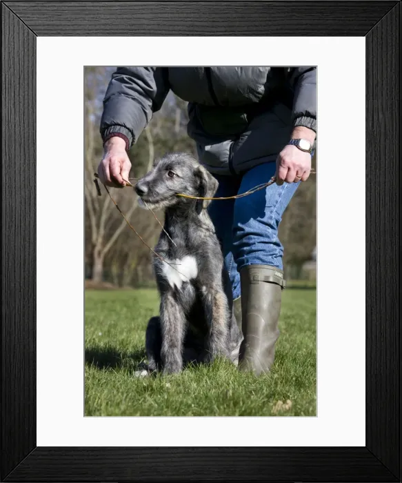 Framed Print : Picture No. 10753207 Framed Print : Picture No. 10753207