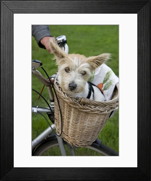 Framed Print : Picture No. 10753411 Framed Print : Picture No. 10753411