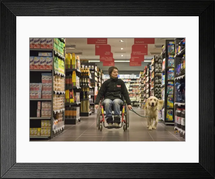Framed Print : Picture No. 10753531 Framed Print : Picture No. 10753531