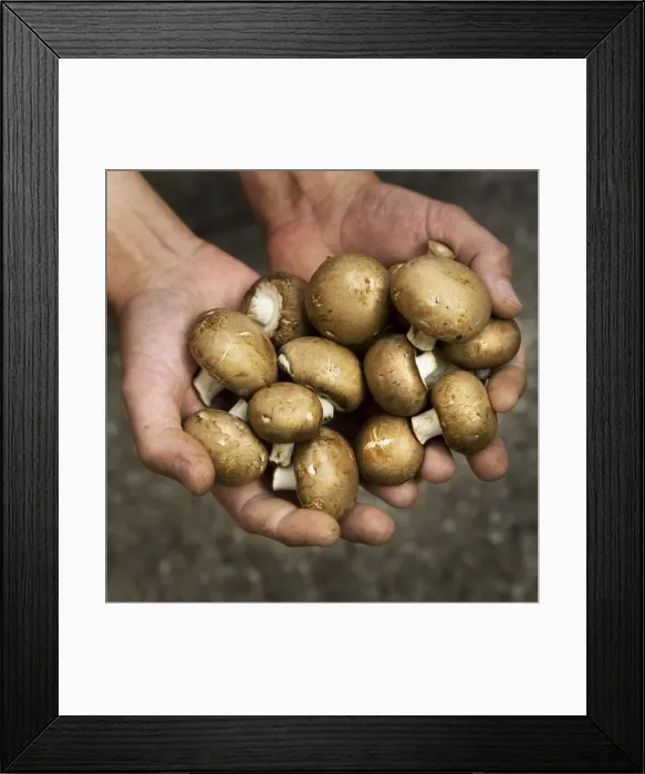 Framed Print : Picture No. 10753373 Framed Print : Picture No. 10753373