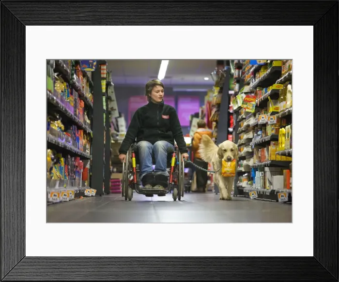 Framed Print : Picture No. 10753533 Framed Print : Picture No. 10753533