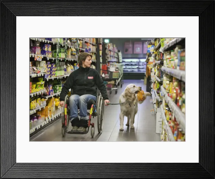 Framed Print : Picture No. 10753534 Framed Print : Picture No. 10753534