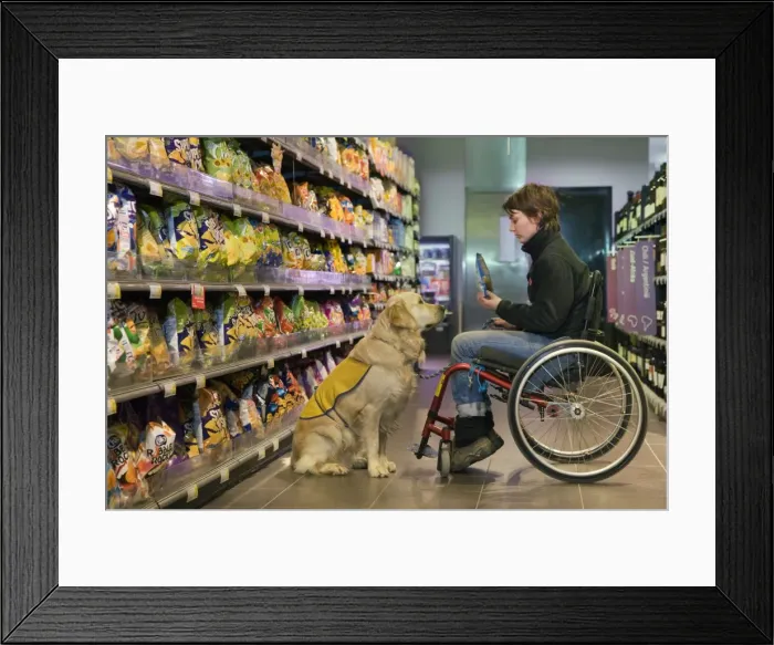 Framed Print : Picture No. 10753532 Framed Print : Picture No. 10753532