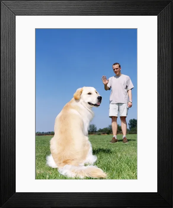Framed Print : Picture No. 10753578 Framed Print : Picture No. 10753578