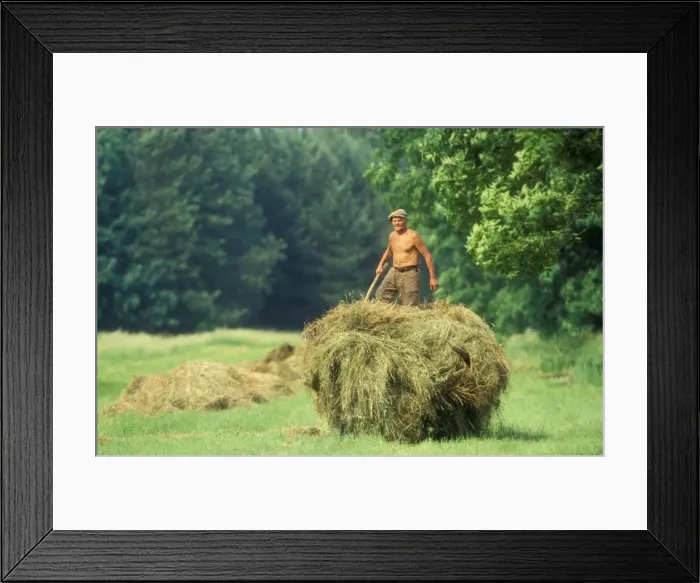 Framed Print : Picture No. 10753597 Framed Print : Picture No. 10753597