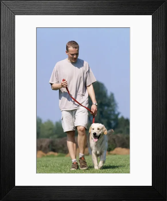 Framed Print : Picture No. 10753574